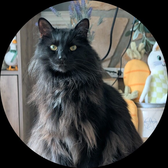 oreopepper4